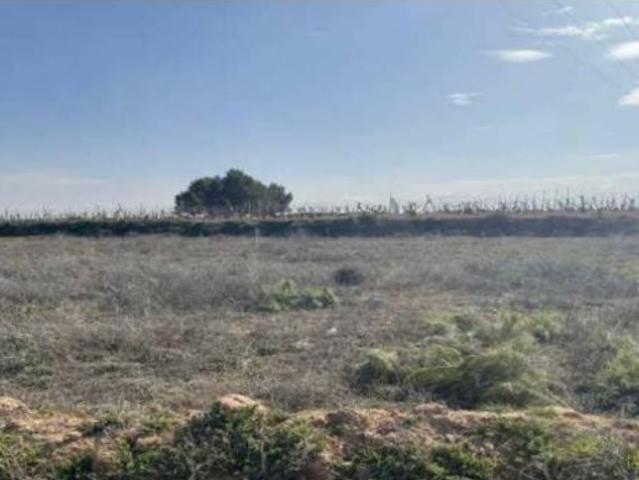 Finca rustica en Venta en Puebla de Almoradiel, La, Toledo