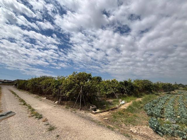 Finca rústica en Venta en Pueblo
