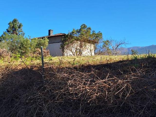 Finca rústica en Venta en Palo Blanco