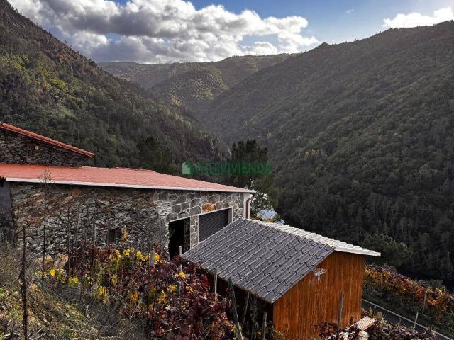 Finca rústica en Venta en Pantón