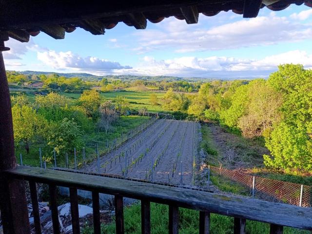 Finca rústica en Venta en Pantón