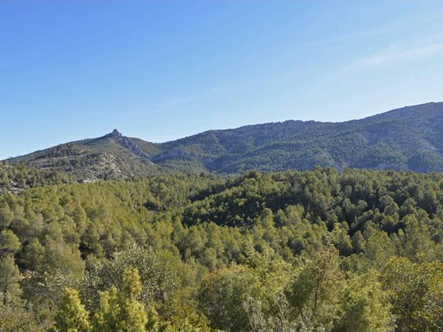 Finca rustica en venta en Paraje Rincones y Sierra Espuña Mula