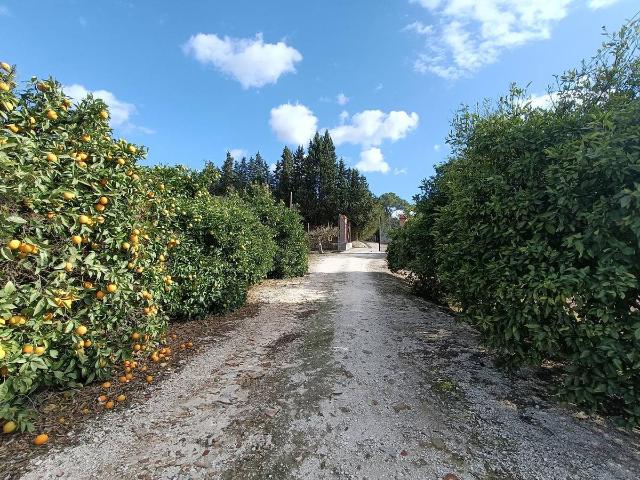 Finca rústica en Venta en Parque Atlántico Ronda este
