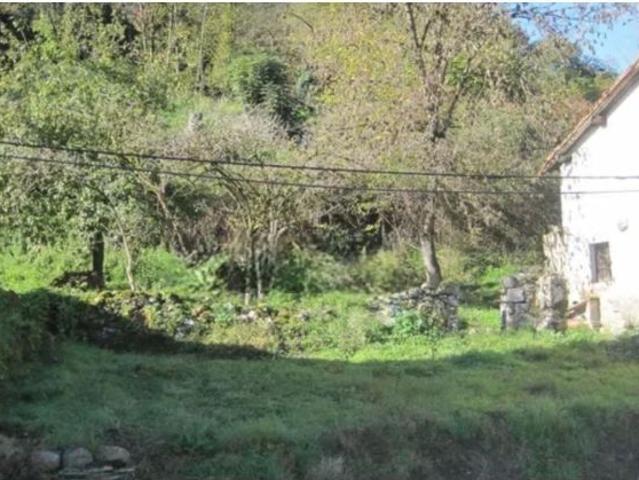 Finca rustica en Venta en Parres, Asturias
