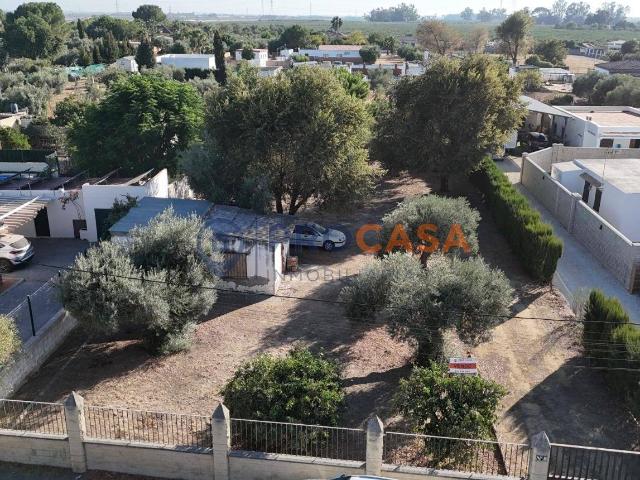 Finca rústica en Venta en Pedanías Norte