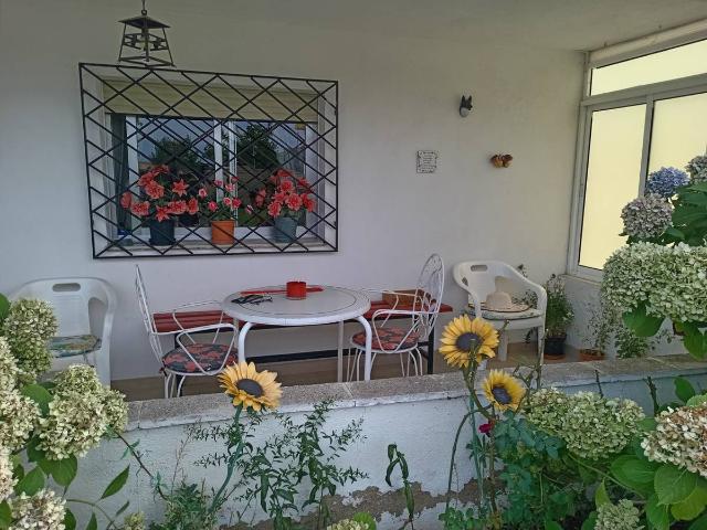 Finca rústica en Venta en Pelabravo