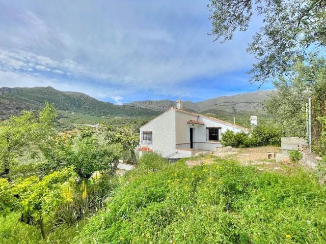 Finca rústica en Venta en Periana