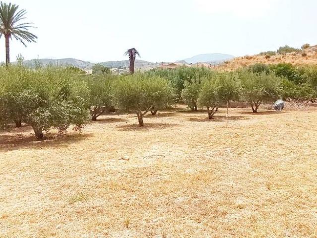Finca rústica en Venta en Perín