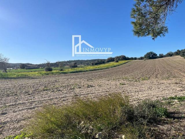 Finca rústica en Venta en Petra