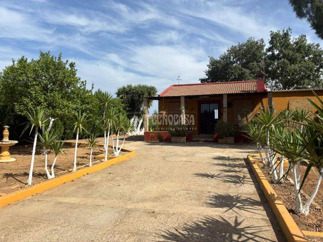 Finca rústica en Venta en Pilas
