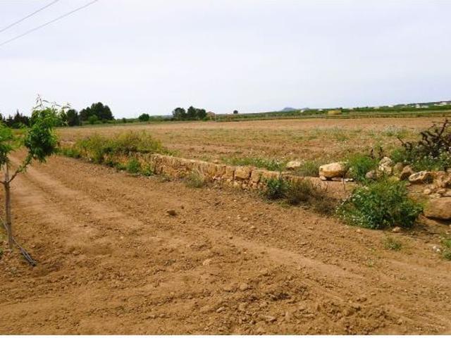 Finca rustica en Venta en Pinós, el/Pinoso, Alicante