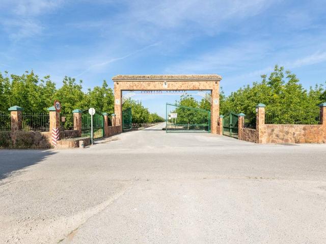 Finca rústica en Venta en Pinos Puente