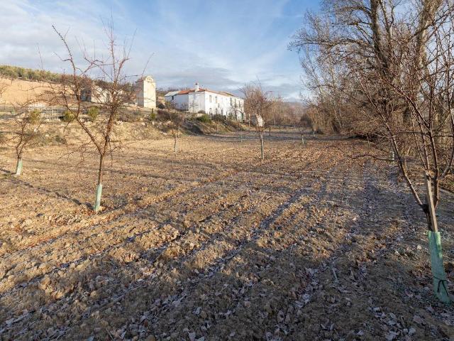 Finca rústica en Venta en Píñar
