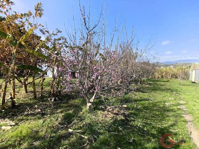 Finca rústica en Venta en Playa de Granada