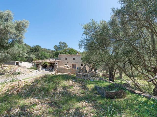 Finca rústica en Venta en Pollença Poble