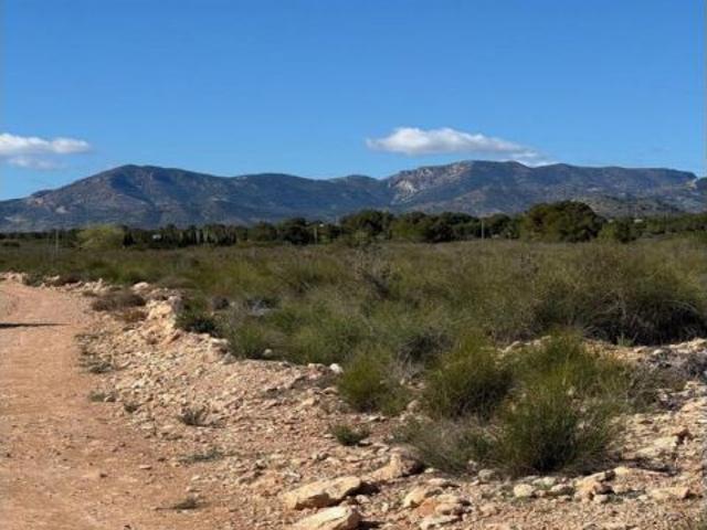 Finca rustica en Venta en Pozo Aledo, Murcia