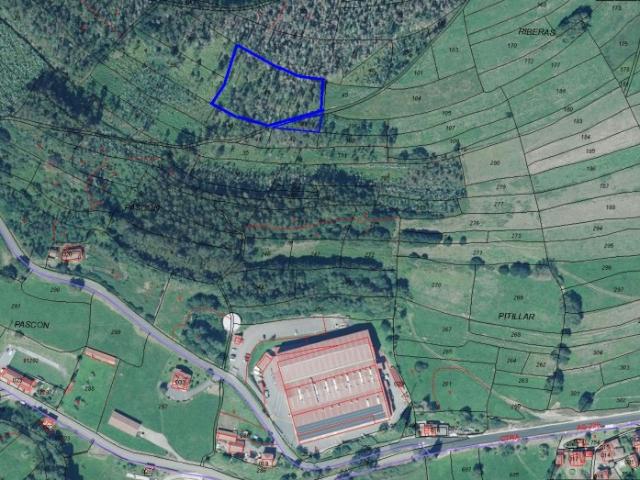 Finca Rústica en Venta en Pravia, Asturias