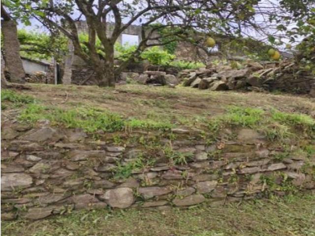 Finca rustica en venta en Redondela
