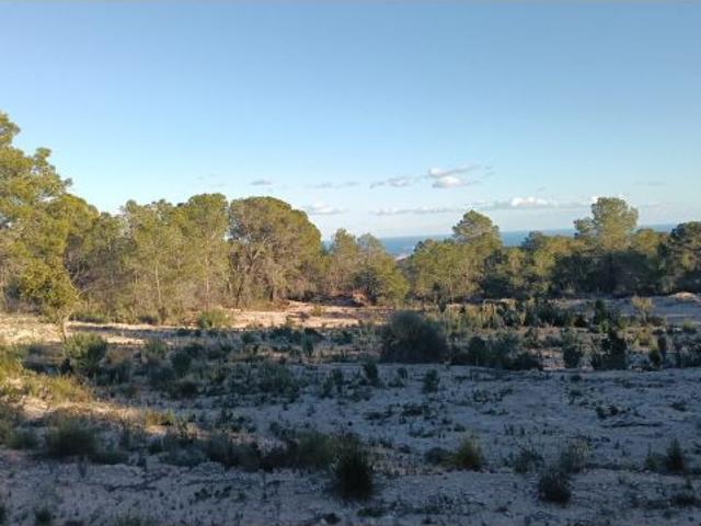 Finca rustica en Venta en Relleu, Alicante