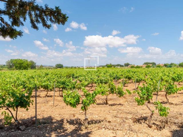 Finca rústica en Venta en Requena