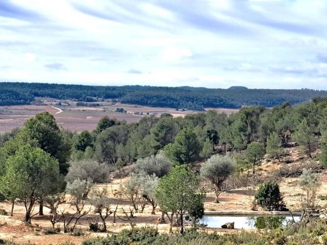 Finca rústica en Venta en Requena