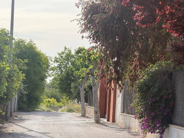 Finca rústica en Venta en Rincón de Seca