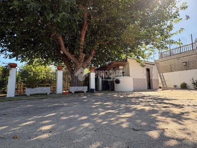 Finca rústica en Venta en Rinconada