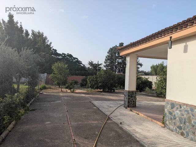 Finca rústica en Venta en Rinconada