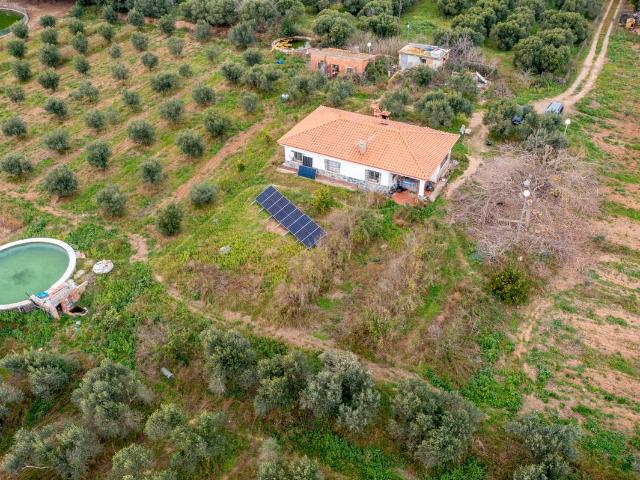 Finca rústica en Venta en Riudoms