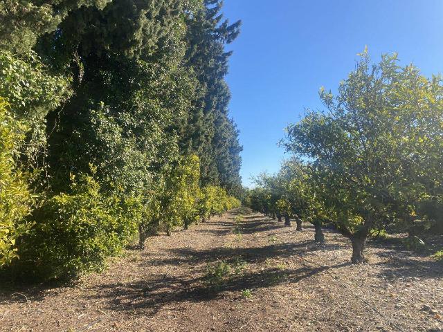Finca rústica en Venta en Roquetes