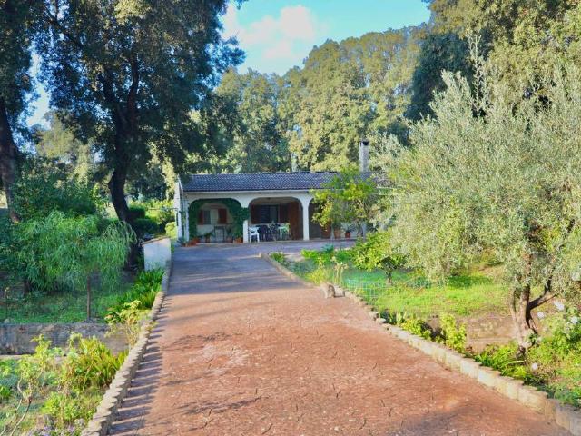 Finca rústica en Venta en Sa Pobla