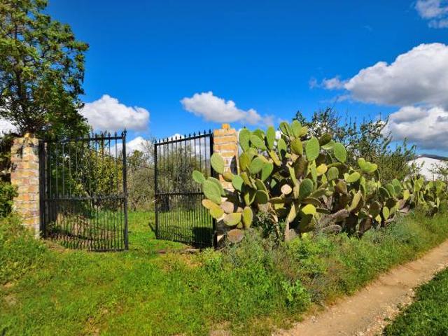 Finca rústica en Venta en San Cristóbal