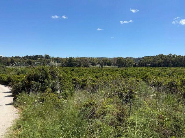Finca rústica en Venta en San Enrique Guadiaro Pueblo Nuevo