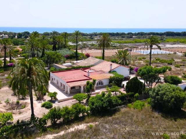 Finca rústica en Venta en San Fulgencio