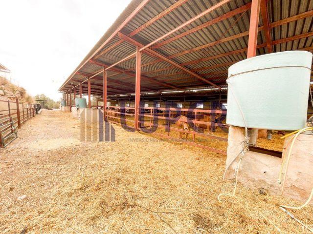 Finca rustica en Venta en San Juan de Alicante, Alicante
