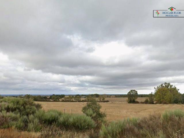 Finca rústica en Venta en San Martín del Castañar