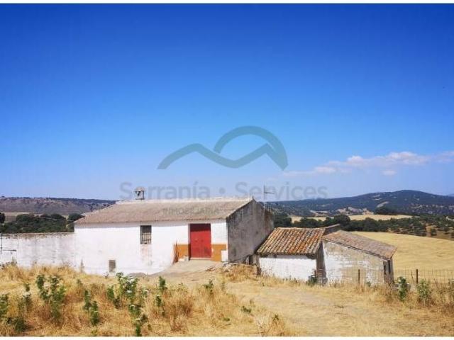 Finca rústica en Venta en San Rafael