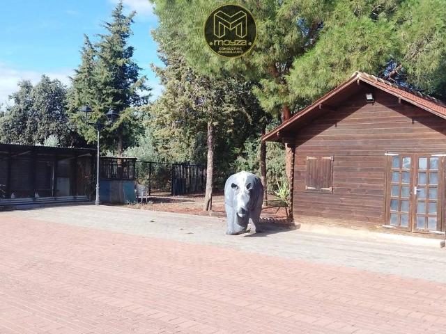 Finca rústica en Venta en San Roque La Cruz La Rozuela
