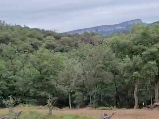 Finca rústica en Venta en Sant Julià del Llor i Bonmatí