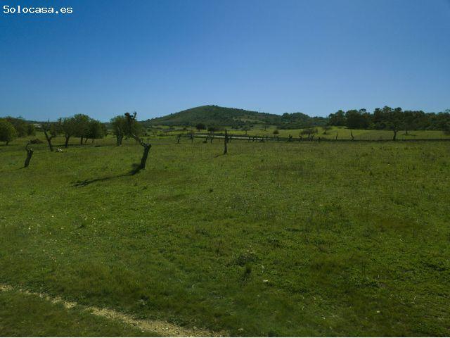 Finca rustica en Venta en Sant Llorenç des Cardassar, Islas Baleares