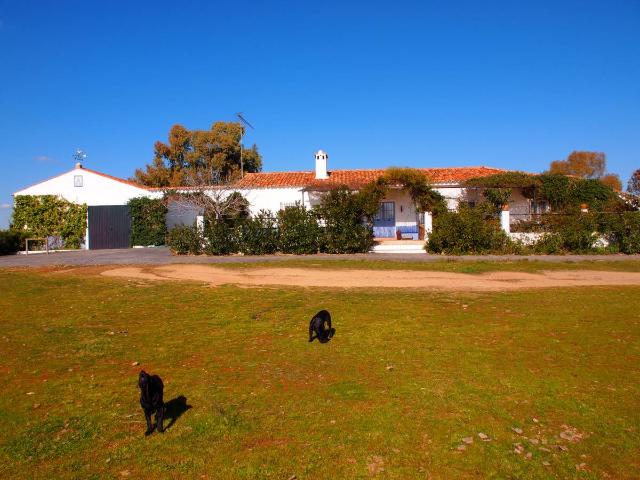 Finca rústica en Venta en Santa Olalla del Cala