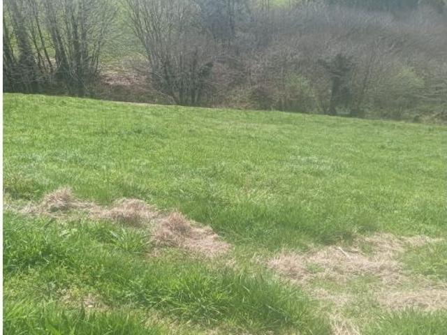 Finca rustica en Venta en Santa Eulalia de Tineo, Asturias