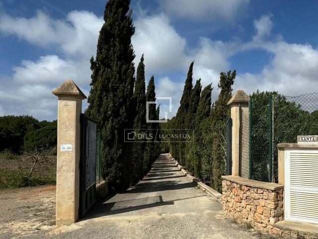 Finca rústica en Venta en Santa Gertrudis