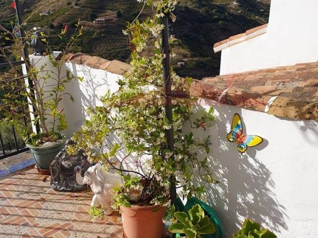 Finca rústica en Venta en Sayalonga