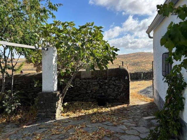 Finca rústica en Venta en Segura de León