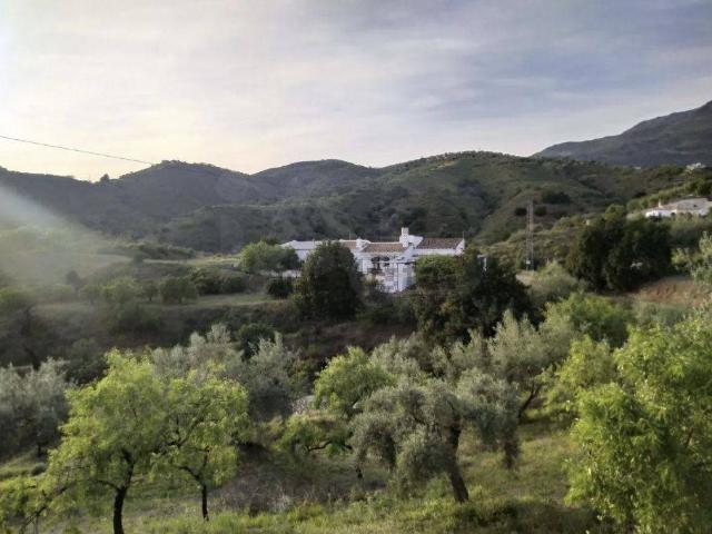Finca rústica en Venta en Sedella