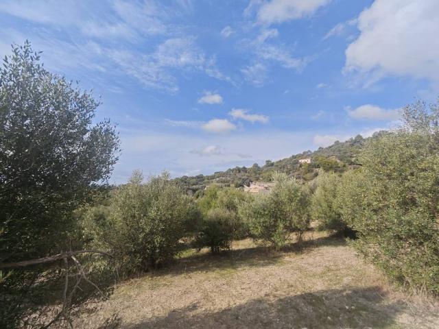 Finca rústica en Venta en Selva