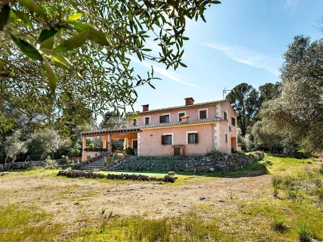 Finca rústica en Venta en Sencelles