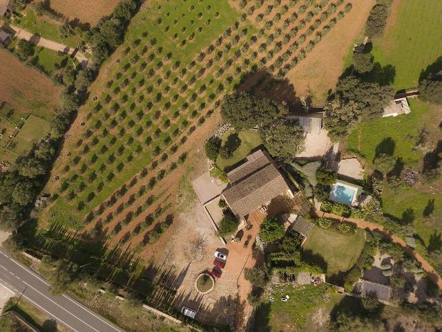 Finca rústica en Venta en Sencelles