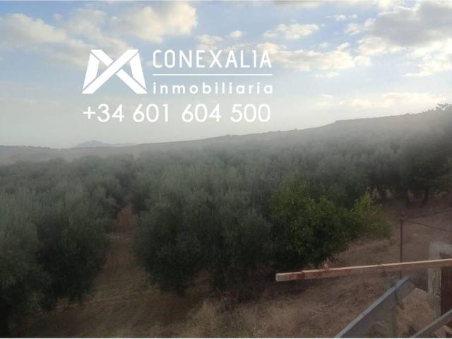 Finca rústica en Venta en Setenil de las Bodegas
